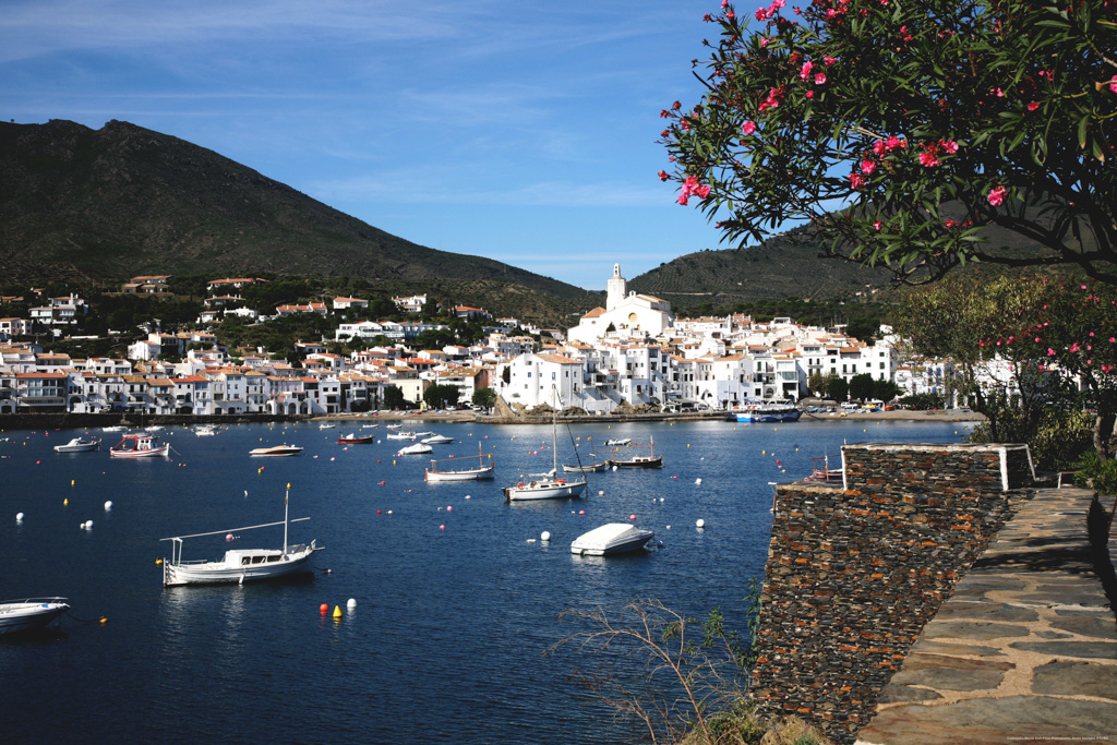 Panoràmica de la vila de Cadaqués, a la primavera, en primer pla surt una planta amb flors de color rosa, diverses barques i un creuer d'excursions a la CB fondejats.