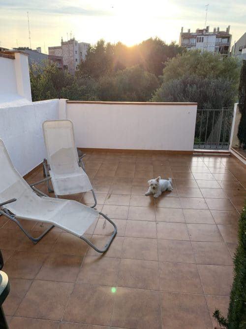 La terraza en el apartamento en Figueres.