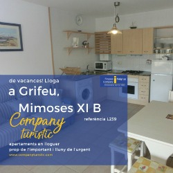 Grifeu-alquiler-turistico-Mimoses